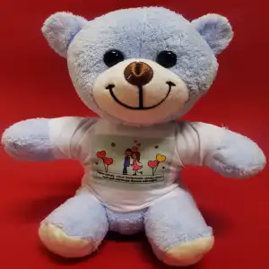 25 Cm Tişörtlü Mavi Ayı