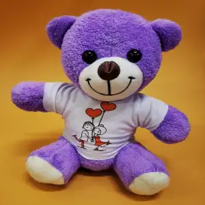 25 Cm Oyuncak Tişörtlü Peluş Ayı