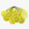 Dekoratif Limon LED Işık 2m 10 Adet Yaz Temalı