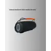 Kablosuz Bluetooth Hoparlör 10W Çift Ses Siyah