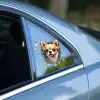 Eğlenceli 3D Köpek Yüzü Araç Stickerı