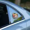 Eğlenceli 3D Kedi Yüzü Araç Stickerı