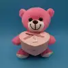 11 x 5 Cm 25 Cm Kutulu Pembe Ayıcık