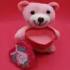 Sevimli Kutulu Pembe 25 cm Hediye Seçeneği