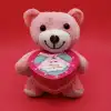 Sevimli Kutulu Pembe 25 cm Hediye Seçeneği