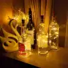 Dekoratif Mantar Tıpa LED Seti
