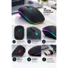 Ergonomik Kablosuz Mouse 1600 DPI USB Alıcı ile