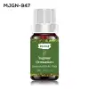 Ferahlık Sağlayan Yağmur Ormanı Esansı 10 ml