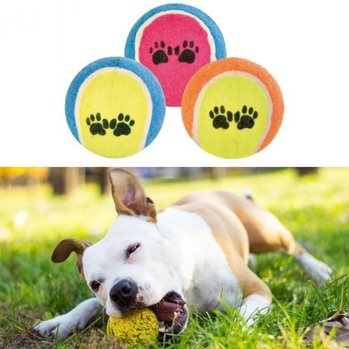 Köpek Oyuncağı 3 Parça Desenli Tenis Topu Kedi Renkli