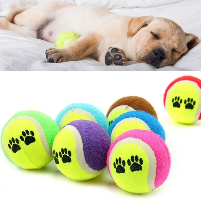 Köpek Oyuncağı 3 Parça Desenli Tenis Topu Kedi Renkli