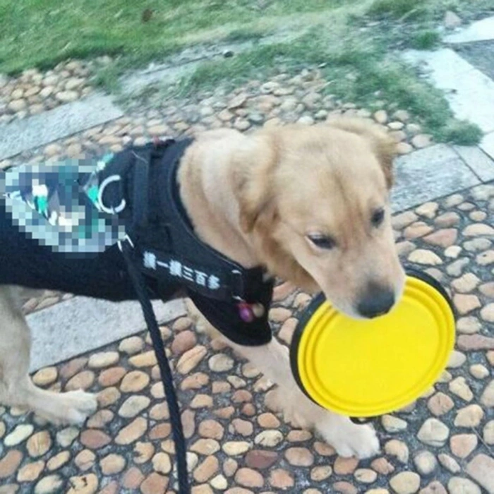 Mama ve Su Kabı Katlanabilir Kedi Köpek Oyuncağı