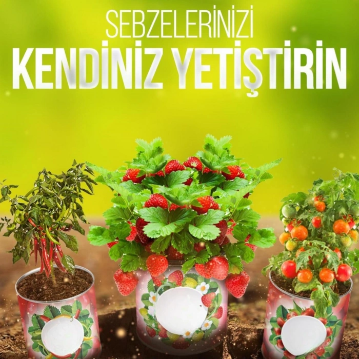 Yetiştirme Kiti Konserve Bahçem Evde Konservede Fındık Turp