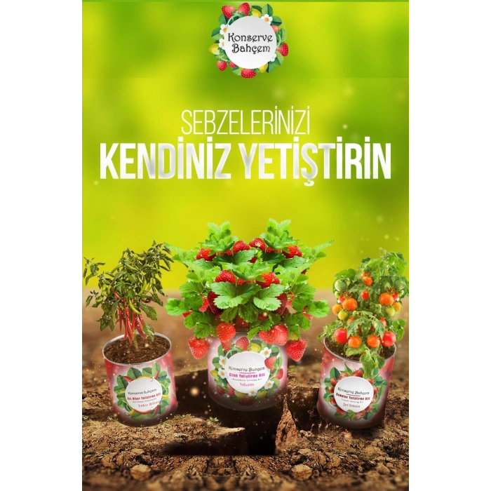 Yetiştirme Kiti Konserve Bahçem Evde Konservede Tatlı Sivri Biber