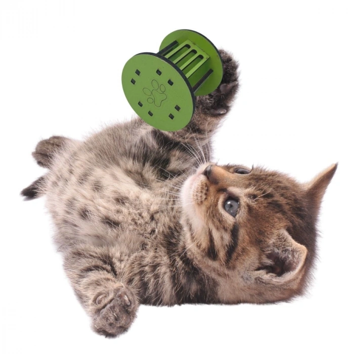 Kedi Oyuncağı Küçük Boy Silindir Eğlenceli Sağlam Küçük Pati İzi Şekilli Renkli