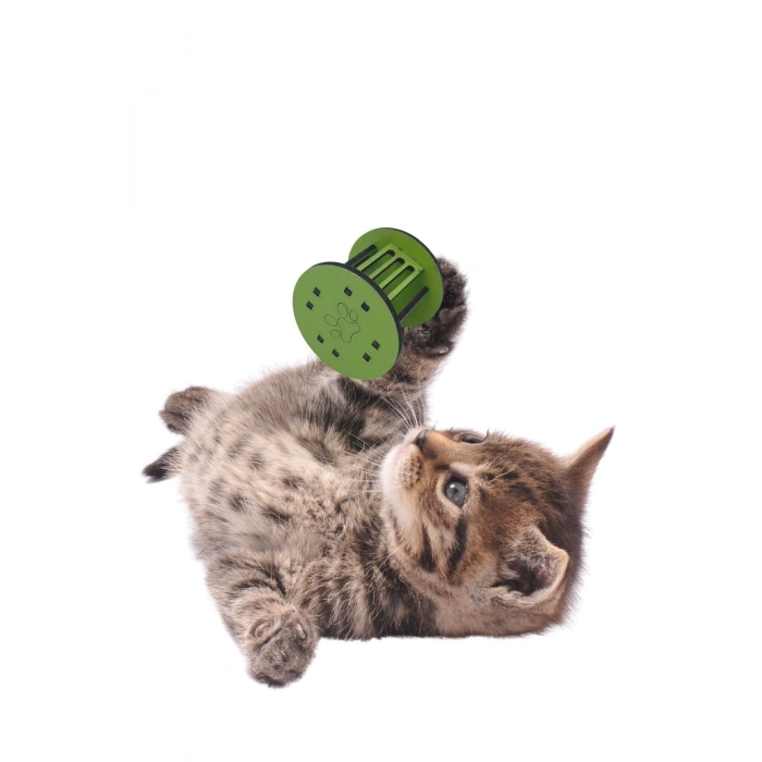 Kedi Oyuncağı Küçük Boy Silindir Eğlenceli Sağlam Küçük Pati İzi Şekilli Renkli