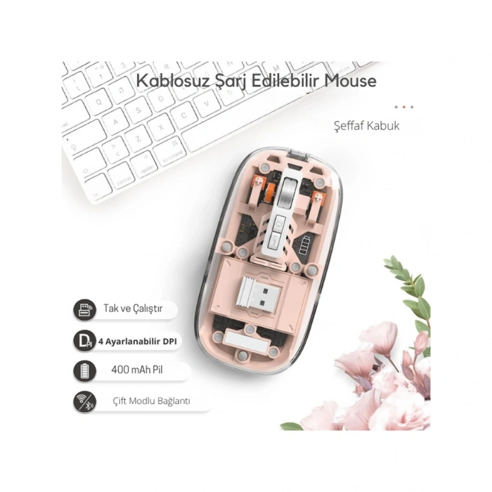 Pembe 501 Bt+ Wireless Mouse ZR1133