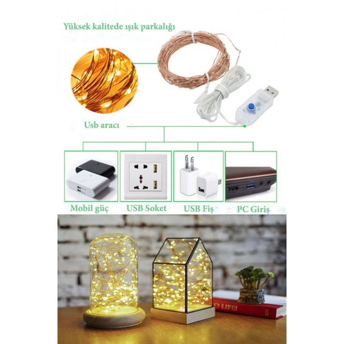 Bağlantılı LED Işık Yılbaşı ve Konsept Dekorasyon 5 Mt USB