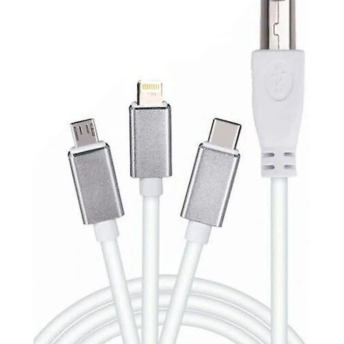 ZR362 Ads 501 Type-C 3 İn 1 Yazıcı Kablosu