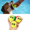 Köpek Oyuncağı 3 Parça Desenli Tenis Topu Kedi Renkli