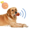 Köpekler İçin Tavuk Budu Şeklinde Çiğneme Oyuncağı