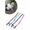 Köpek Boyun Tasması Çıngıraklı Zilli Slikon Kedi Renkli