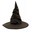 Harry Potter Şapkası Yetişkin Boy
