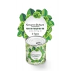 Yetiştirme Kiti Konserve Bahçem Evde Konservede İri Yapraklı Kıvırcık