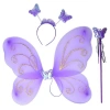Lila Renk Kanadı Tacı ve Sopası 50x37 cm