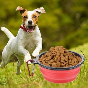 Mama ve Su Kabı Katlanabilir Kedi Köpek Oyuncağı