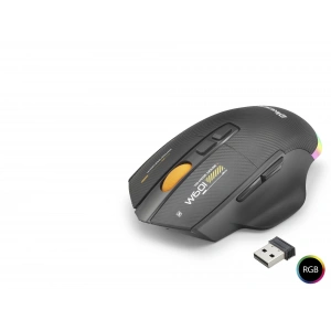 Tri Mode Mouse 12800 Dpi 7 Tuş Makro 1000Hz Rgb - Siyah W601B