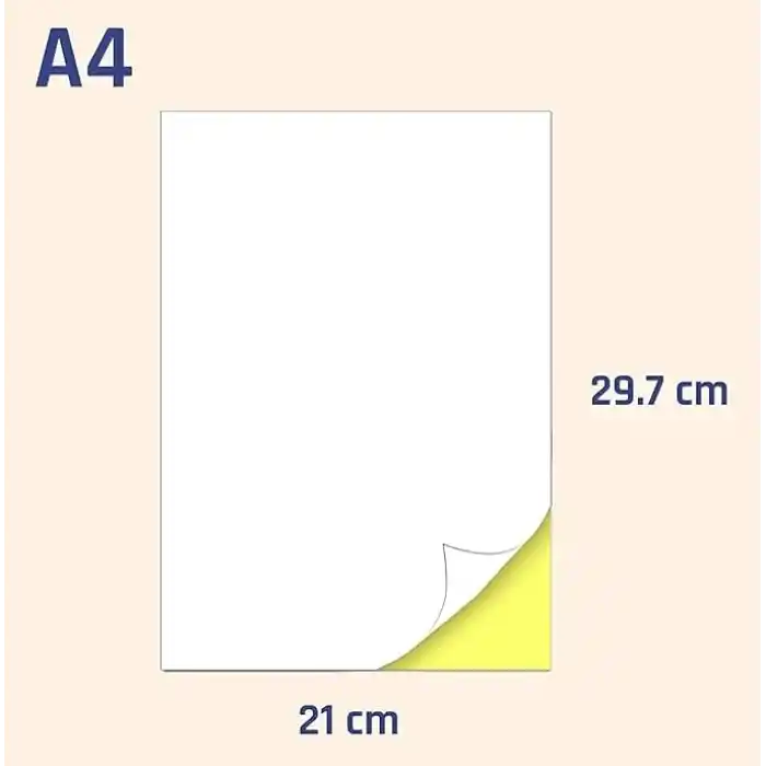 nexup label A4 Etiket Yapışkanlı | 100 Sayfa Adres etiketi 210x297 mm - 100 Sayfa Çok amaçlı Universal Etiketler - Adres Etiketler - Beyaz Etiket