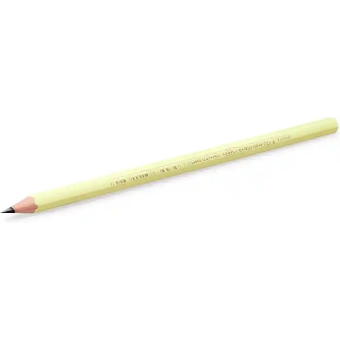 BIC Evolution Pastel Kurşun Kalem, 12li Kutu, Kıymık Oluşturmaz, Çiğnemeye Karşı Dayanıklı, Kolay Açılır