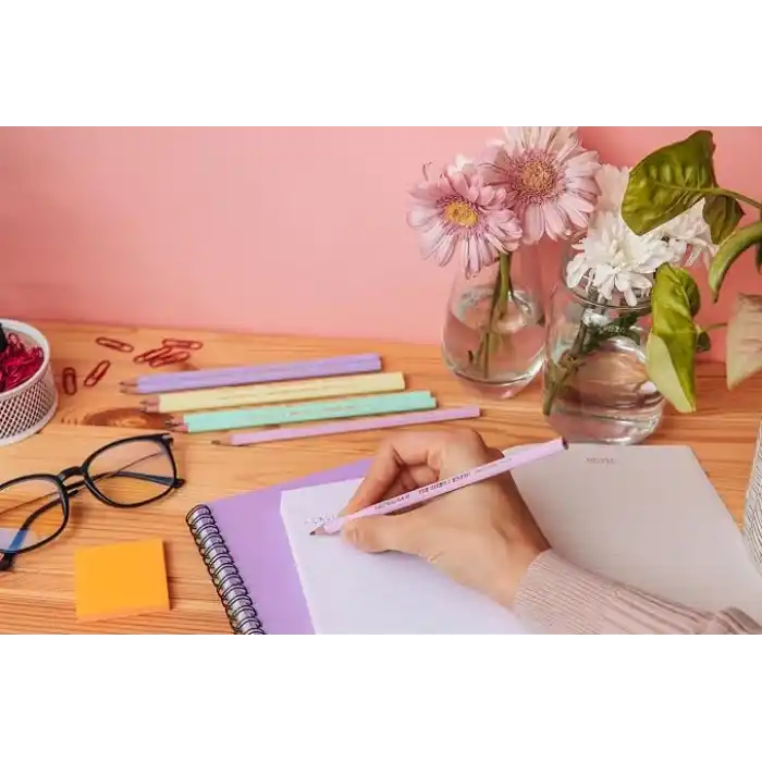 BIC Evolution Pastel Kurşun Kalem, 12li Kutu, Kıymık Oluşturmaz, Çiğnemeye Karşı Dayanıklı, Kolay Açılır
