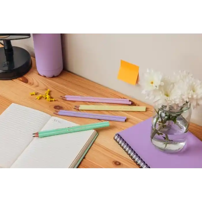 BIC Evolution Pastel Kurşun Kalem, 12li Kutu, Kıymık Oluşturmaz, Çiğnemeye Karşı Dayanıklı, Kolay Açılır