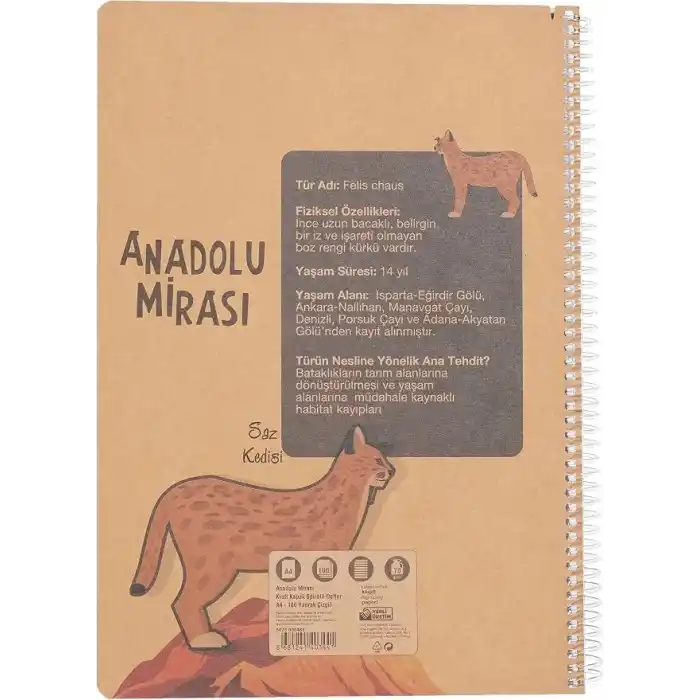 Faber-Castell Anadolu Mirası Spiralli Defter, A4, 100 Yaprak, 70g Kağıt, Çizgili, 500 Mikron PP Kapak, PET Spiralli, Asorti Renkler, Dayanıklı ve Ergonomik Kullanım