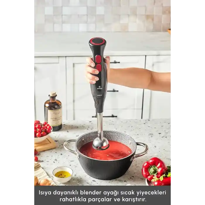 Emsan Pro Multimax 6 in 1 Çok Amaçlı Mutfak Robotu Black