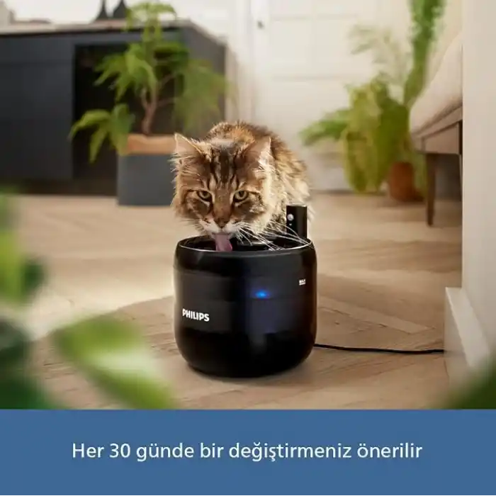 Philips 3000 Serisi Su Pınarı Yedek Filtreleri, Çok Katmanlı Filtreleme, 30 Gün Tazelik, 3’lü, PAW0010/01