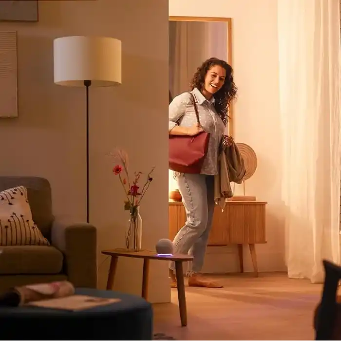 Philips Smart Lighting LED Ampul A60 E27 100W Eşdeğer RGB - Google Home, Alexa, HomeKit ve Matter uyumlu