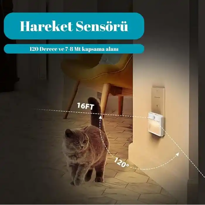 Akıllı Hareket Sensörlü LED Gece Lambası 2700K Fişe Takılan Hareket Sensörlü Güç Ayarlı Led Işık L001