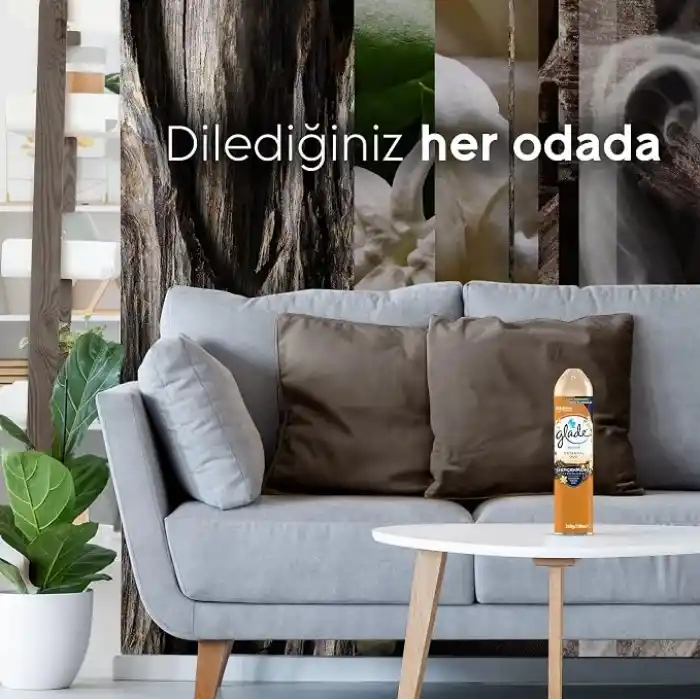 Glade Aerosol Oryantal Oud Oda Kokusu 300 mL (1 x 300 mL)