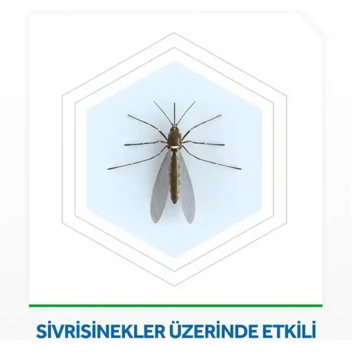 Raid Likit Elektrik 45 Gece Yedek (Sivrisineklere Karşı)