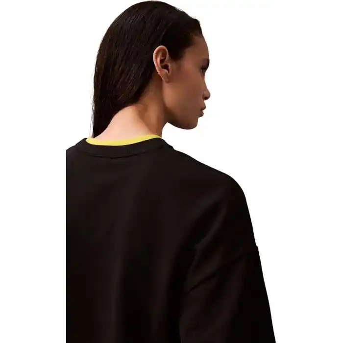Calvin Klein LS ARCHIVE LOGO FRENCH TERRY RLX Sweatshirt Kadın