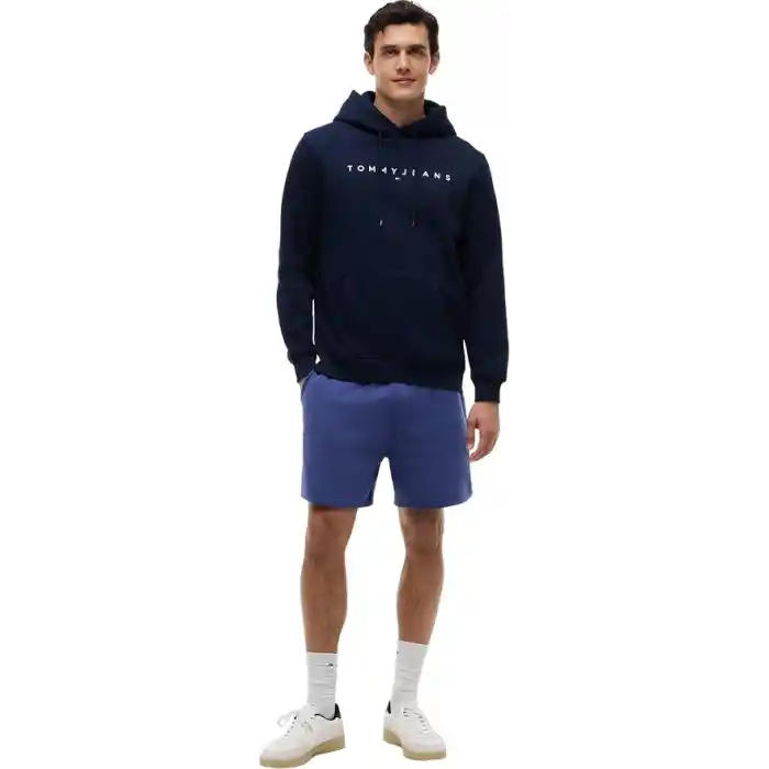 Tommy Jeans TJM REG LINEAR LOGO HOODIE EXT Sweatshirt Erkek