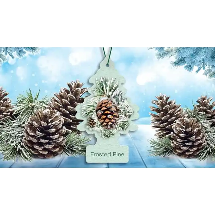 Car Freshner Asma Koku Buzlu Çam