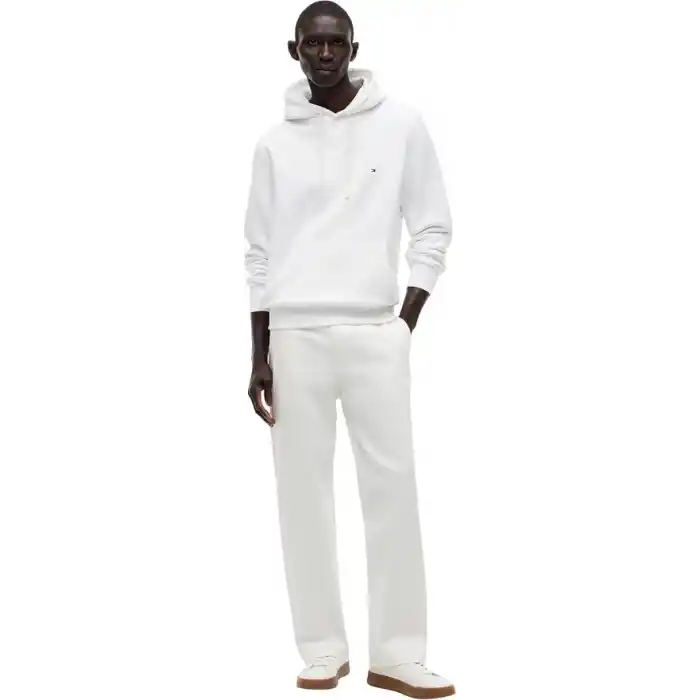 Tommy Hilfiger ESSENTIAL FLEECE HOODY Sweatshirt Erkek