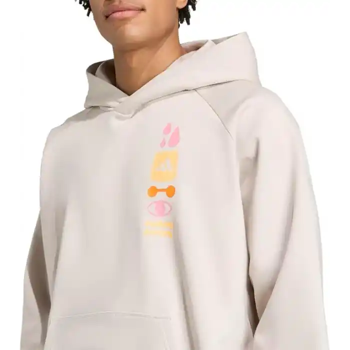 adidas GFX HOODIE Kapüşonlu Sweatshirt Erkek