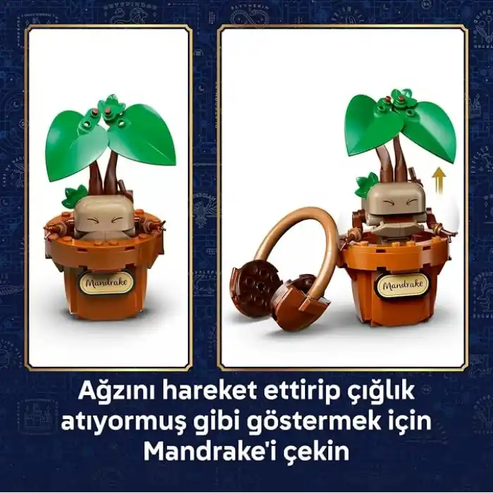 LEGO Harry Potter Hogwarts Bitkibilim Bitkileri 76474