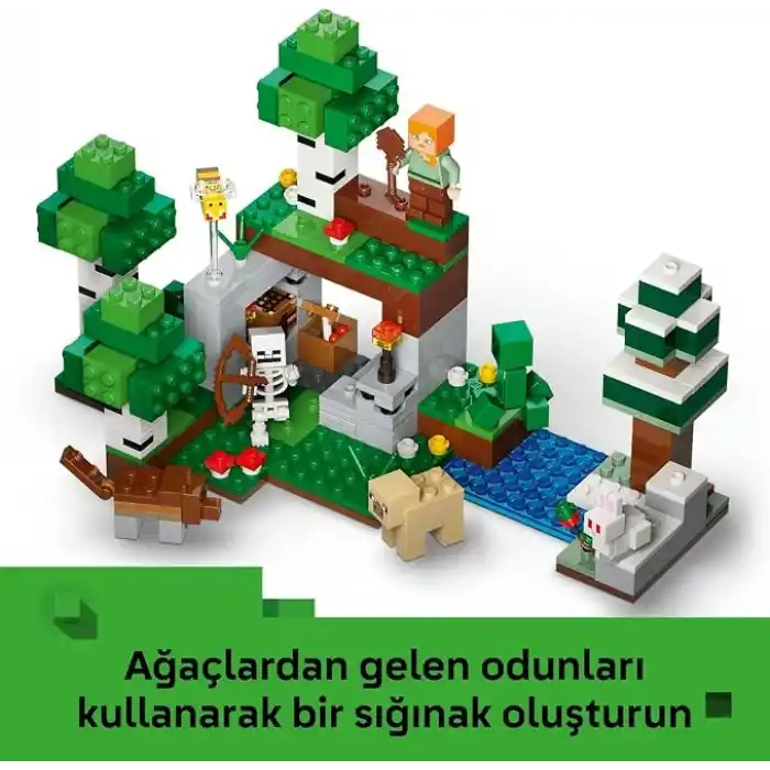 LEGO Minecraft İlk Gece Macerası 21593