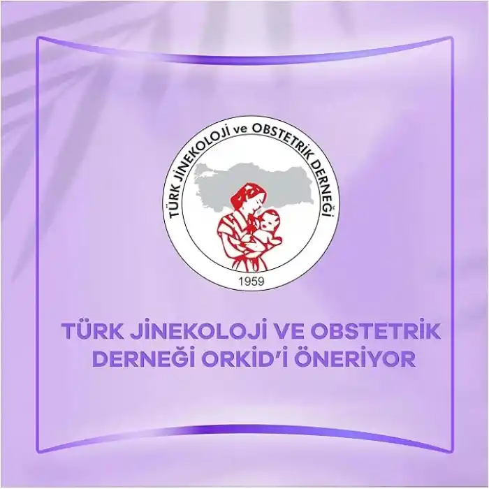Orkid Günlük Ped Normal Dev Ekonomi Paket 80 Adet Ped