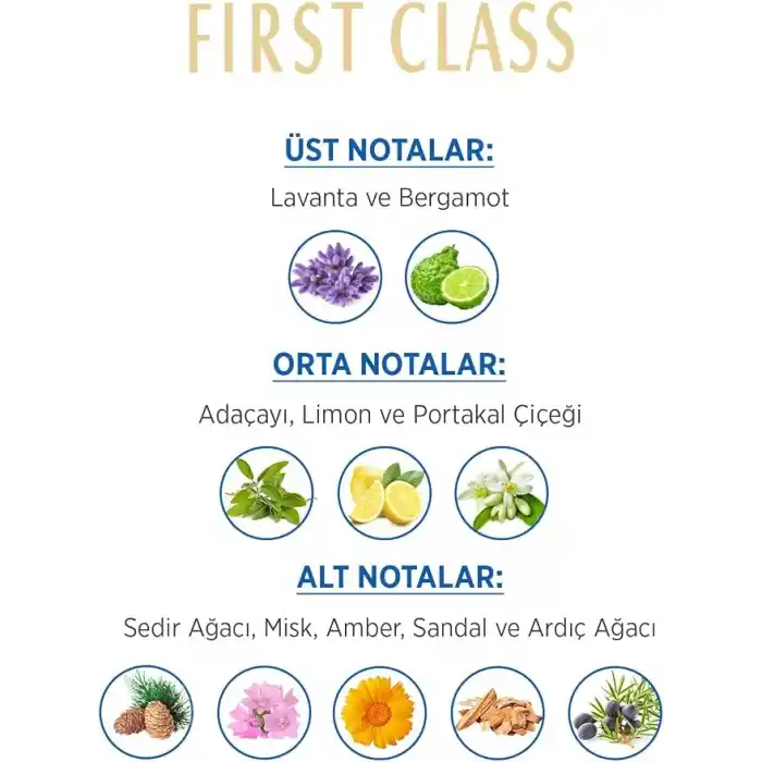FIRST CLASS Edt, 100 Mililitre